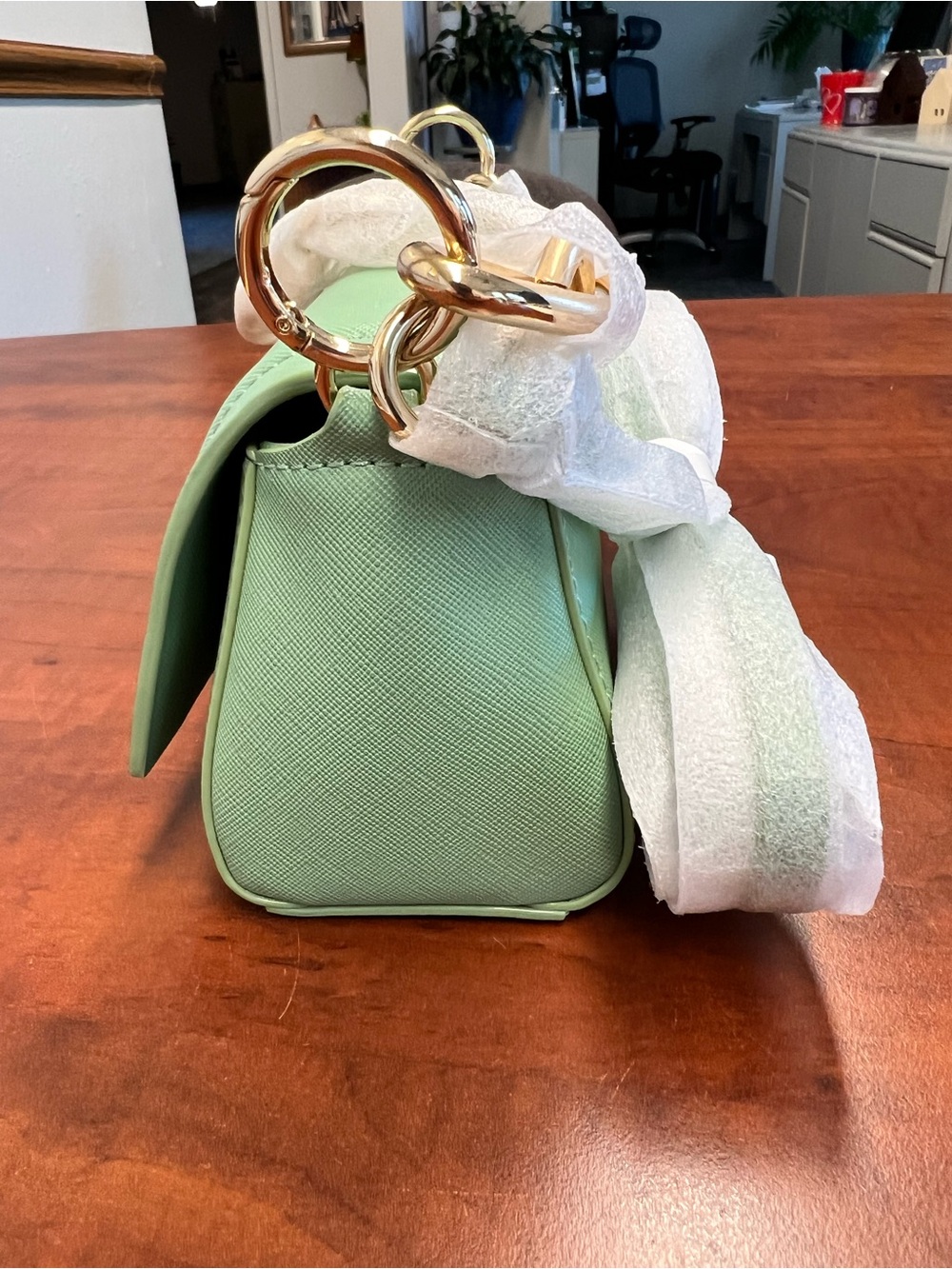 Mint Green vegan leather crossbody bag with Gold Hardware and chain. NWT - Picture 2 of 10
